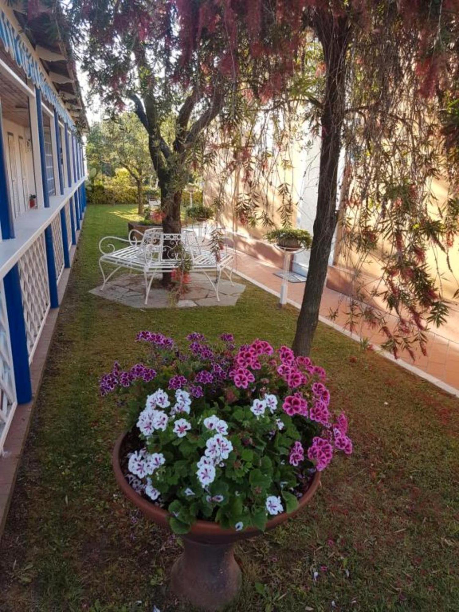 Bed And Breakfast Bagno Venezia Marina Di Carrara Bagian luar foto